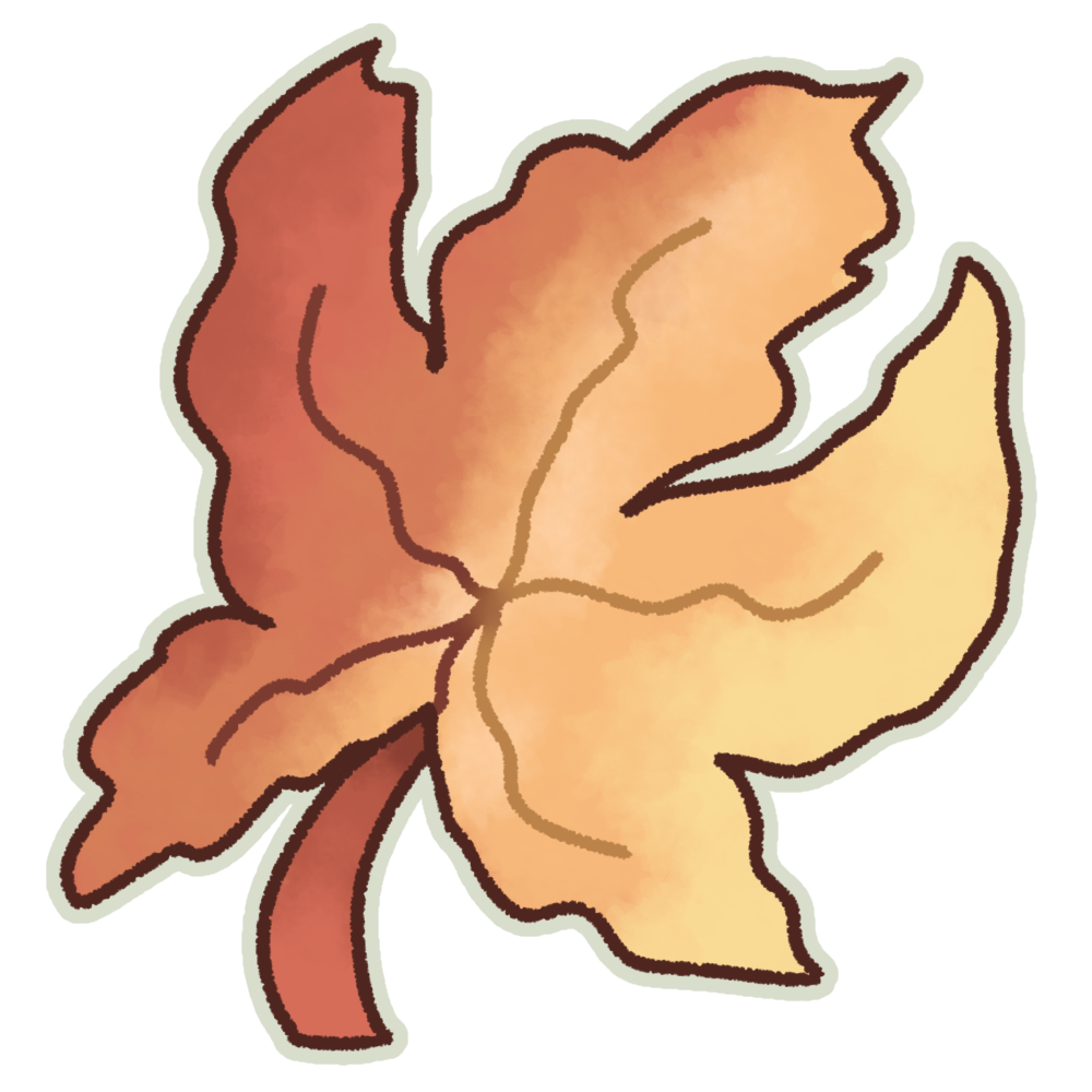 Maple Leaf