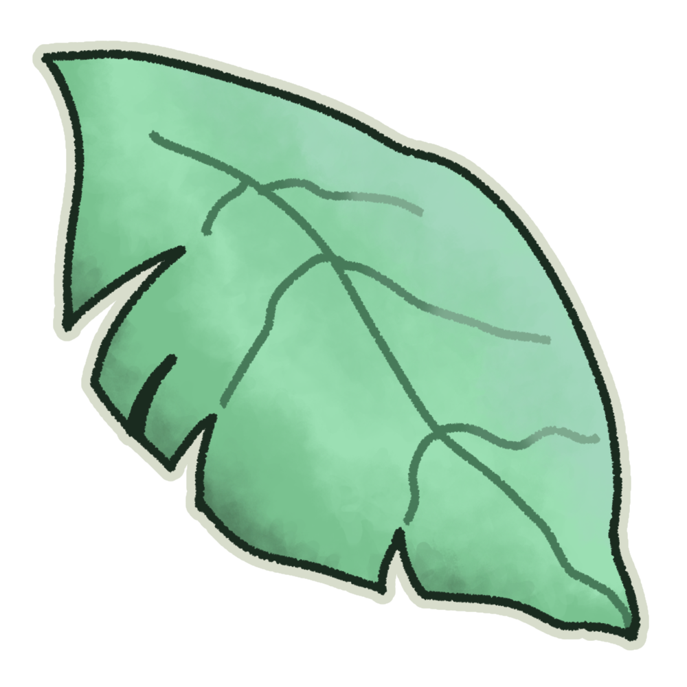 Palm Leaf