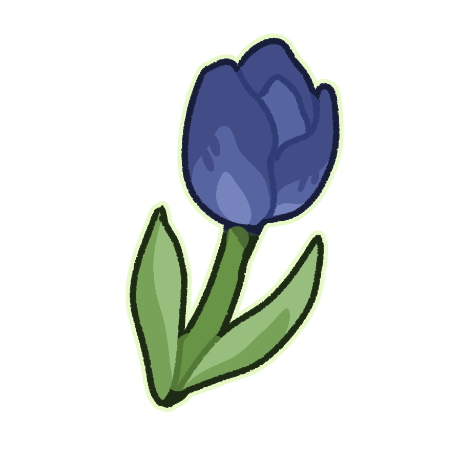 Tulip